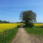 The Castle Arms 宾馆 贝德尔