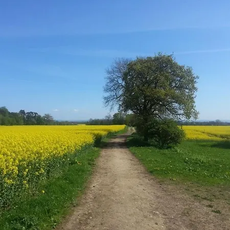 The Castle Arms Mini-hôtel Bedale